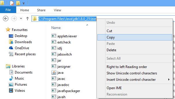 Java JDK installation directory - prowessapps.com